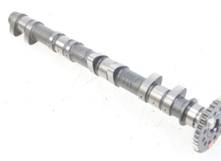 ARBRE CAME ADMISSION