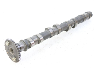 ARBRE CAME ADMISSION