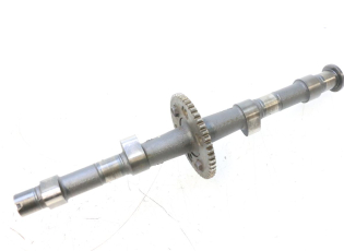 ARBRE CAME ADMISSION