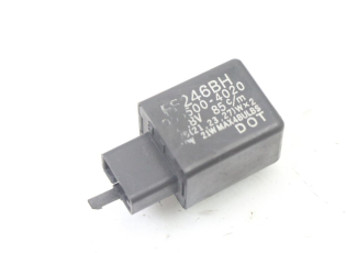 CENTRALE CLIGNOTANTE