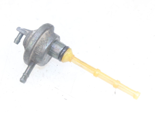 DEPRESSION RESERVOIR