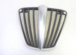 GRILLE RADIATEUR