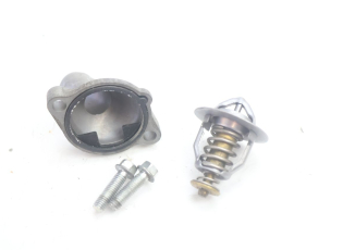THERMOSTAT