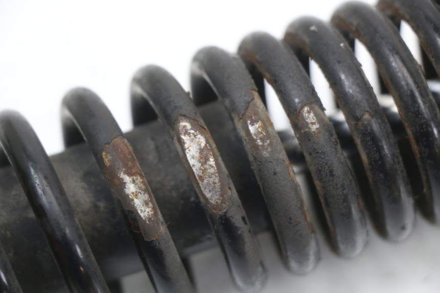 photo de REAR SHOCK ABSORBER PIAGGIO NEW TYPHOON 50 (2018 - 2021) - Product overview