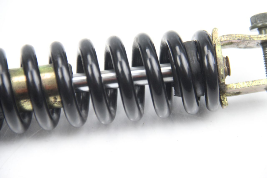 photo de REAR SHOCK ABSORBER TNT MOTOR ROMA 10' 4T 50 (2007 - 2018) - Alternative perspective