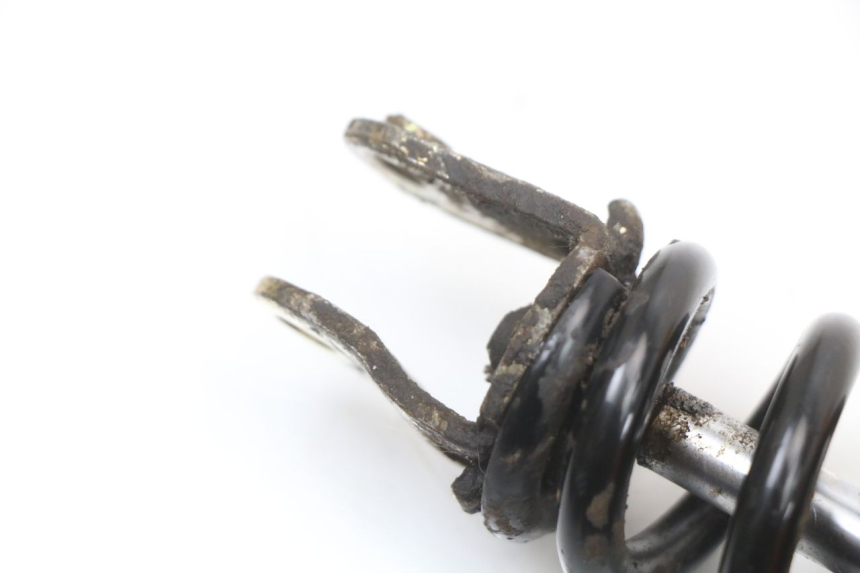 photo de REAR SHOCK ABSORBER TNT MOTOR ROMA 10' 4T 50 (2019 - 2022) - Alternative perspective