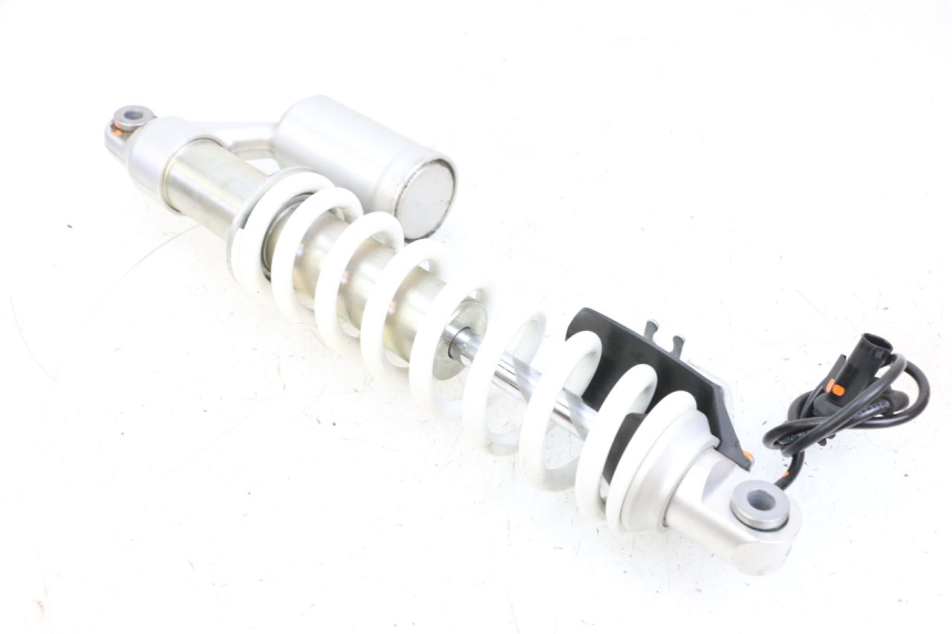 photo de FRONT SHOCK ABSORBER BMW R GS 1250 (2021 - 2024) - Main view