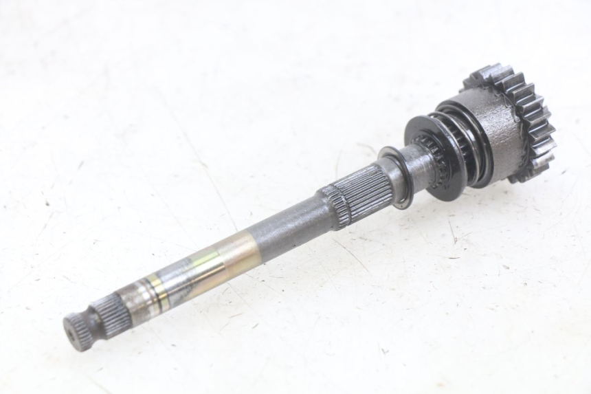 photo de KICK START CHAFT APOLLO DIRT BIKE 125 (2010 - 2018) - Component detail