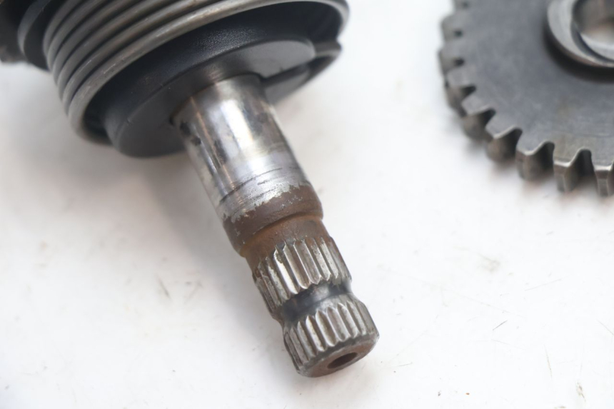 photo de KICK START CHAFT DERBI SENDA 50 (2003 - 2005) - Zoom on usage condition
