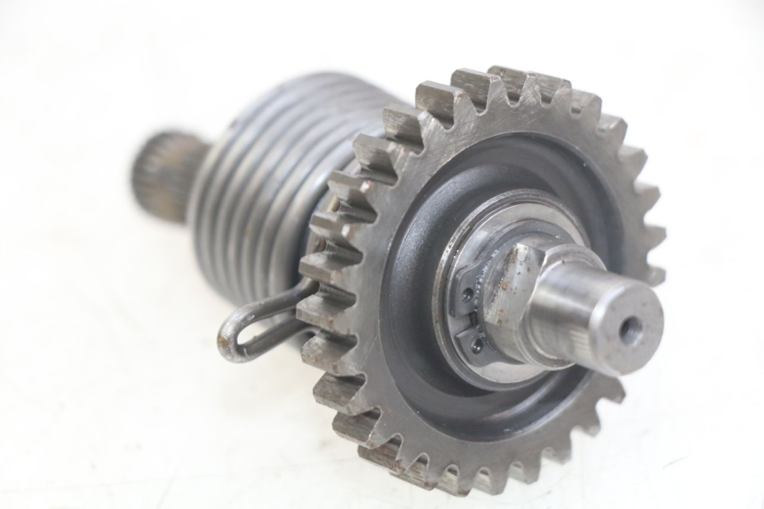 photo de KICK START CHAFT GAS-GAS SM ROOKIE 50 (2001 - 2005) - Alternative perspective