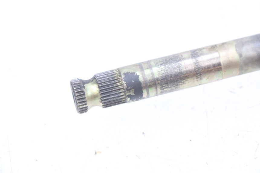 photo de KICK START CHAFT NITRO MOTORS THUNDER 125 - Technical close-up