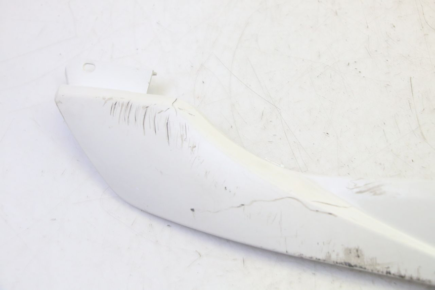 photo de RIGHT BELLY PANEL PEUGEOT TWEET PRO EFI 4T 50 (2021 - 2022) - Component detail