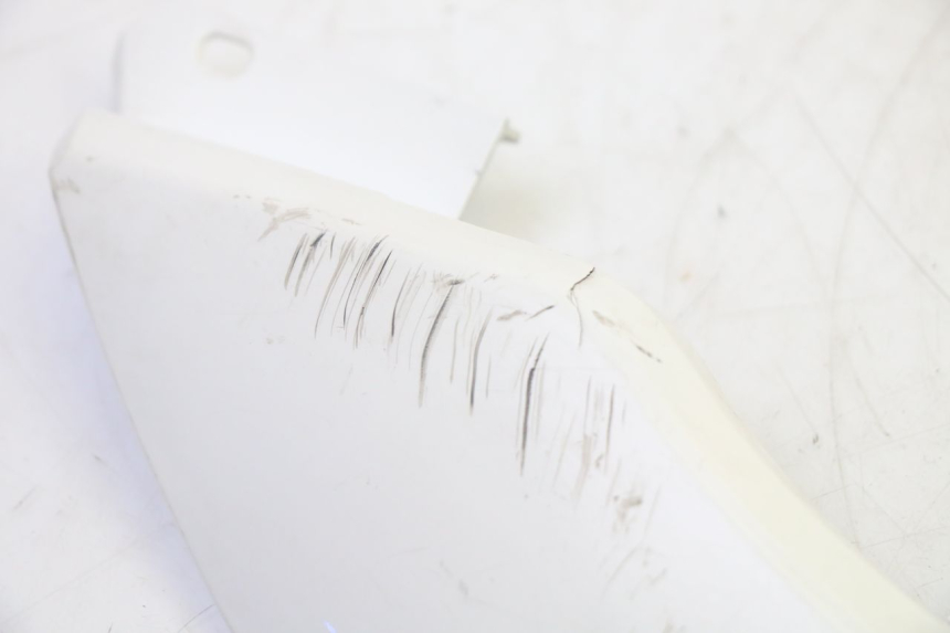 photo de RIGHT BELLY PANEL PEUGEOT TWEET PRO EFI 4T 50 (2021 - 2022) - Alternative perspective