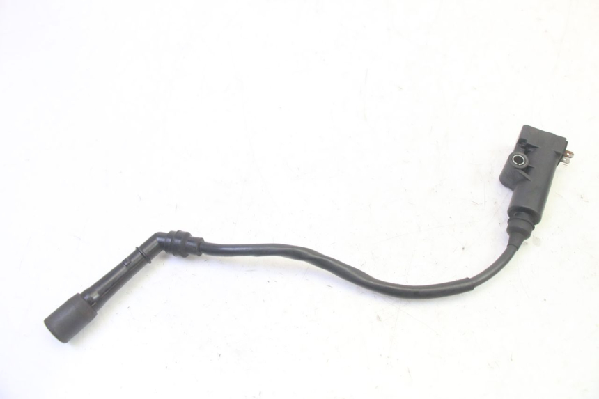 photo de IGNITION COIL QUADRO 4 4D 350 (2015 - 2018) - Main view