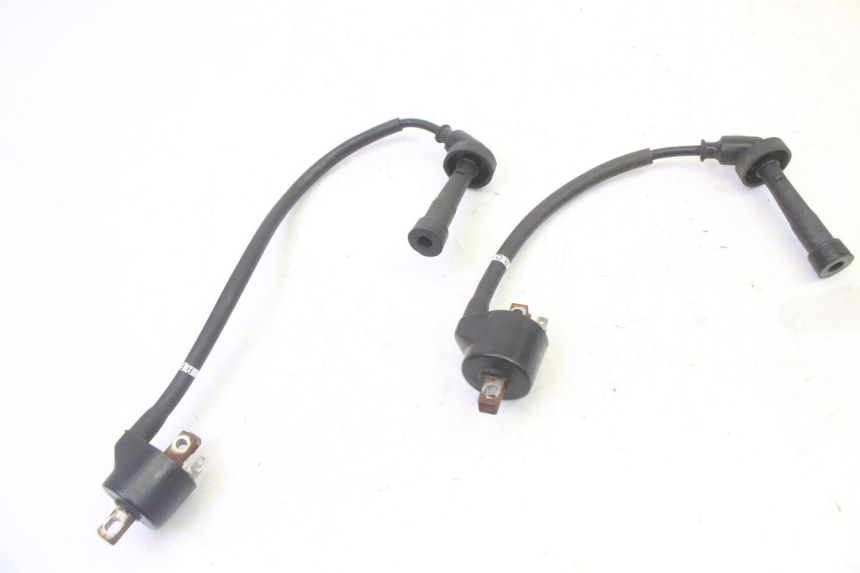 photo de IGNITION COIL HYOSUNG GV AQUILA 125 (2000 - 2009) - Main view