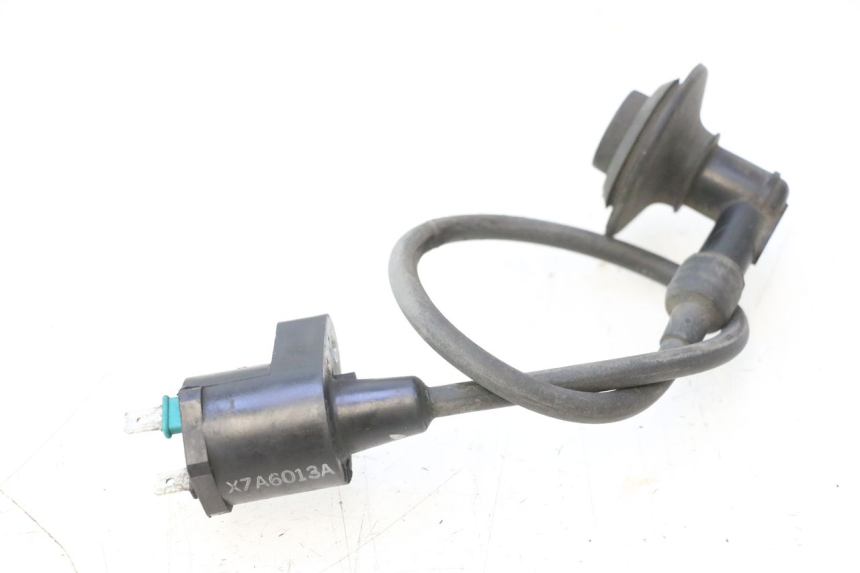 photo de COIL PEUGEOT ELYSTAR 50 (2002 - 2014) - Main view