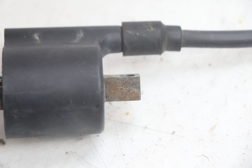 photo de COIL JM MOTORS EVOLIS 4T 50 (2018 - 2022) - Alternative perspective