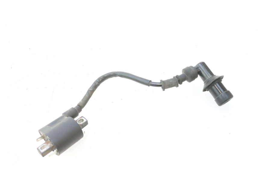 photo de COIL JM MOTORS F45i 4T 50 (2020 - 2023) - Main view