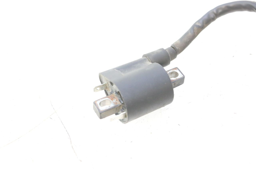 photo de COIL JM MOTORS F45i 4T 50 (2020 - 2023) - Component detail