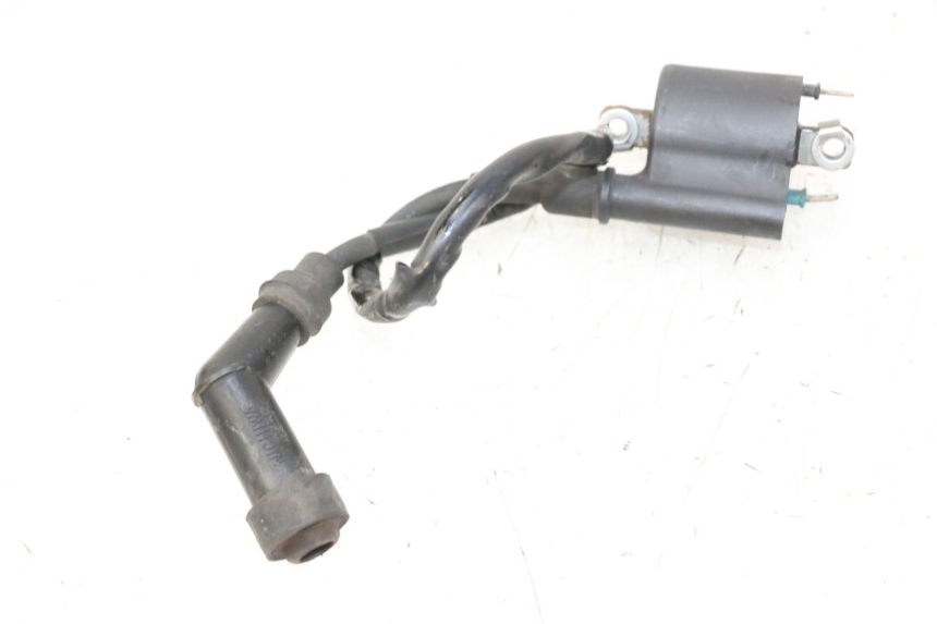 photo de COIL HONDA FES S-WING SWING ABS 125 (2007 - 2015) - Zoom on usage condition