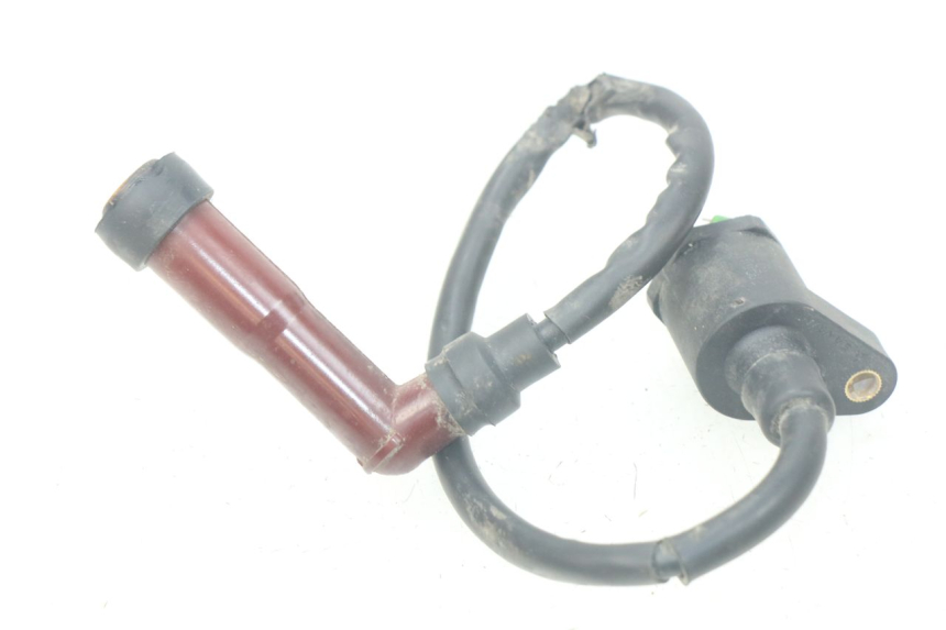 photo de COIL PEUGEOT KISBEE 4T 50 (2010 - 2017) - Zoom on usage condition