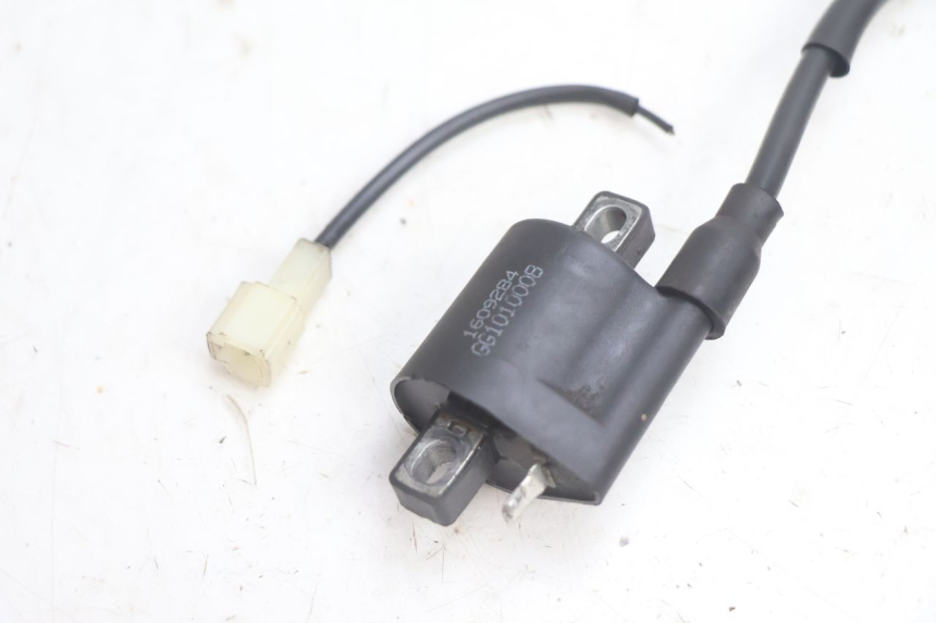 photo de IGNITION COIL LONGJIA LJ50QT 8M 2T 50 (2010 - 2017) - Component detail