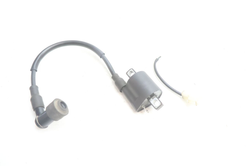photo de IGNITION COIL LONGJIA LJ50QT 8M 2T 50 (2010 - 2017) - Fixing points details