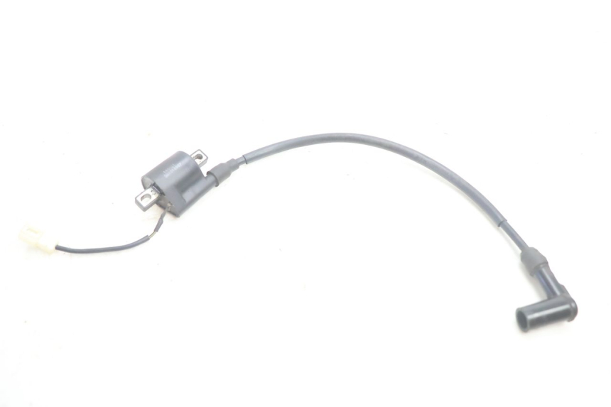 photo de COIL IMF INDUSTRIE PACH 2T 50 (2009 - 2013) - Main view