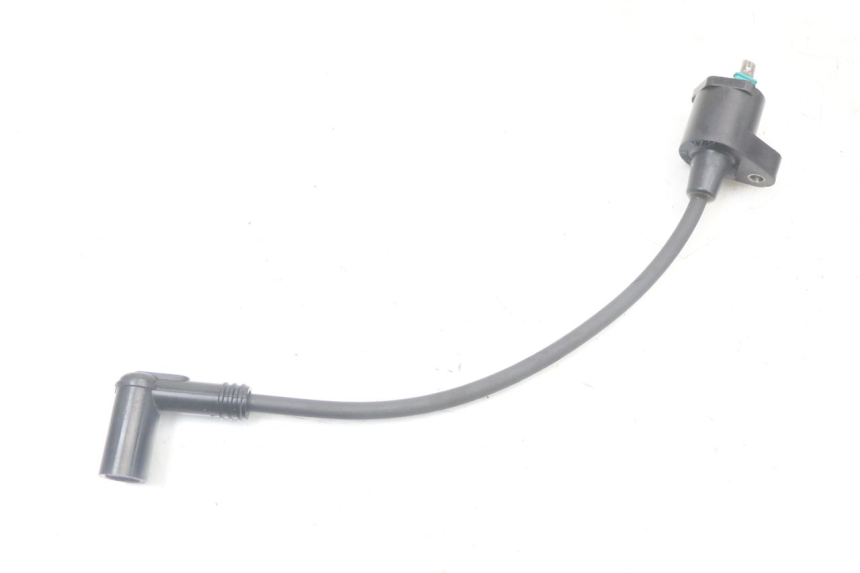photo de COIL PEUGEOT LUDIX 50 (2005 - 2007) - Main view