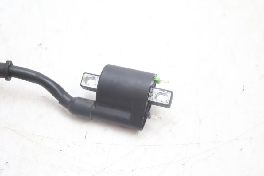 photo de IGNITION COIL JM MOTORS R-MAX TECH 50 (2024 - 2026) - Zoom on usage condition