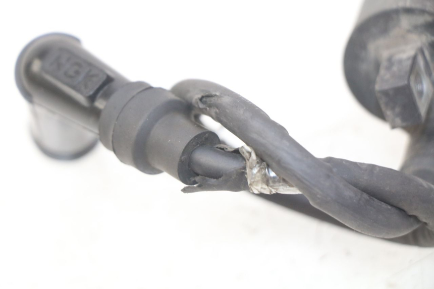 photo de COIL TNT MOTOR ROMA 10' 4T 50 (2019 - 2022) - Zoom on usage condition