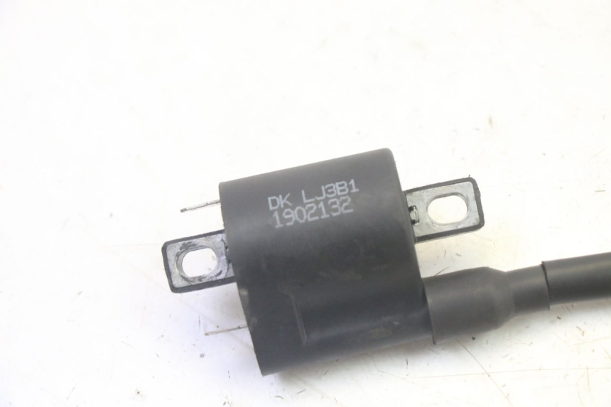 photo de COIL TNT MOTOR ROMA 10' 4T 50 (2019 - 2022) - Component detail