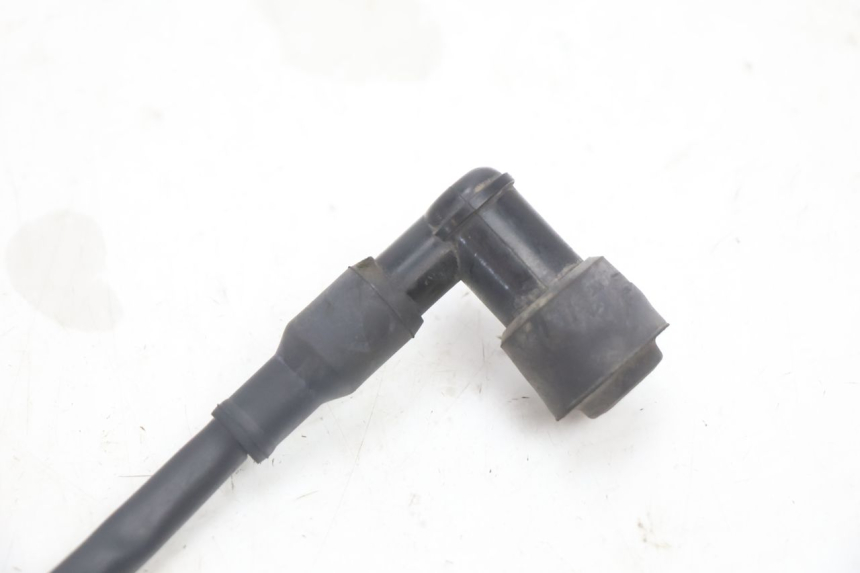 photo de COIL TNT MOTOR ROMA 12' 2T 50 (2007 - 2018) - Zoom on usage condition