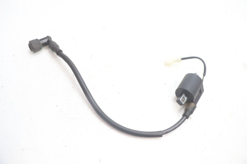 photo de COIL TNT MOTOR ROMA 12' 2T 50 (2007 - 2018) - Alternative perspective