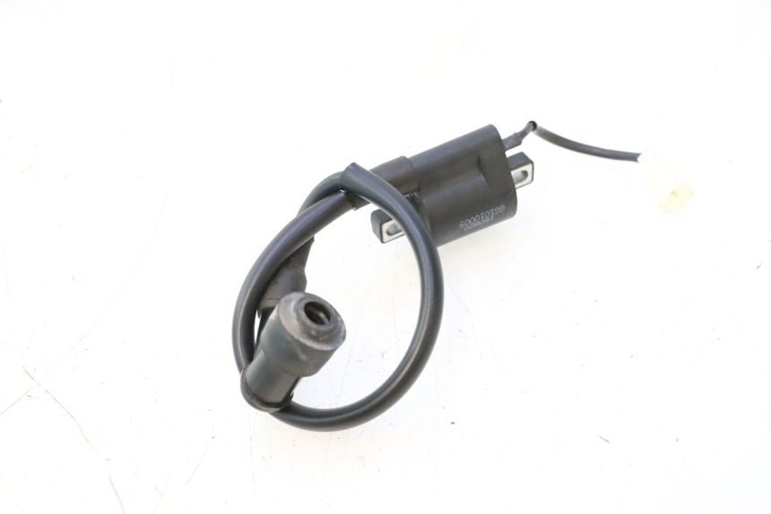 photo de COIL TNT MOTOR ROMA 12' 2T 50 (2007 - 2018) - Component detail