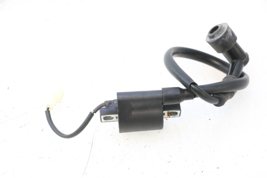 photo de COIL TNT MOTOR ROMA 12' 2T 50 (2007 - 2018) - Technical close-up