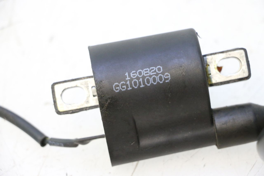 photo de COIL TNT MOTOR ROMA 12' 2T 50 (2007 - 2018) - Product overview
