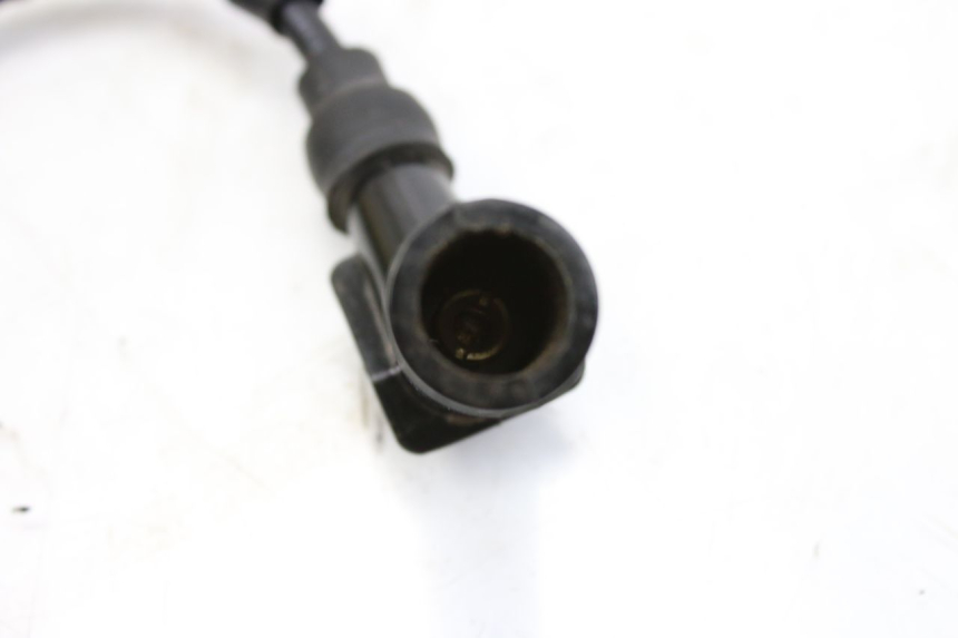 photo de COIL JM MOTORS SANTANA 50 (2014 - 2023) - Alternative perspective