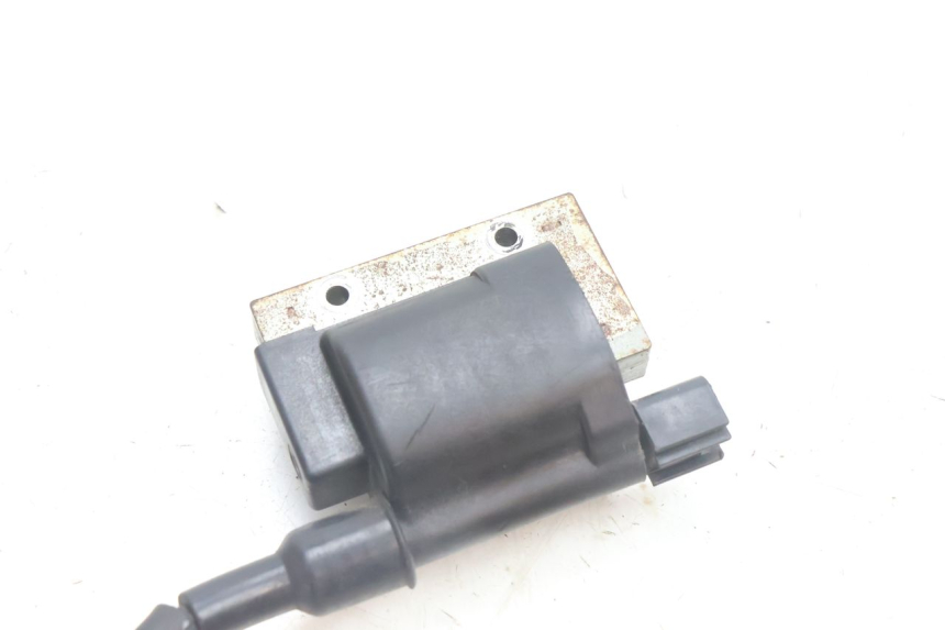 photo de COIL PEUGEOT SATELIS 125 (2006 - 2009) - Zoom on usage condition