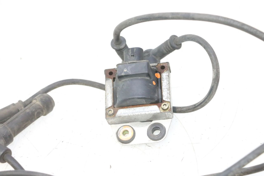 photo de IGNITION COIL DUCATI SS IE DS CARENEE 1000 (2002 - 2006) - Product overview