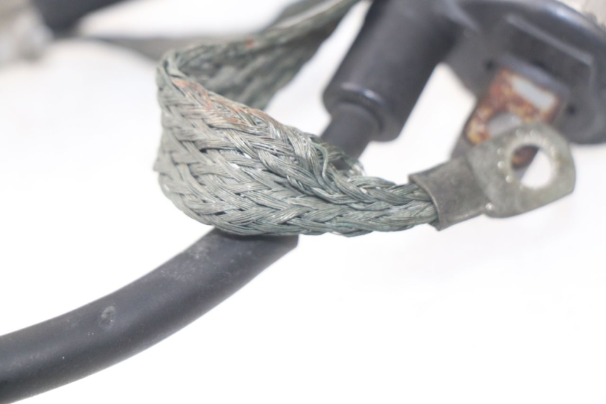 photo de COIL YAMAHA TDM ABS 900 (2002 - 2014) - Alternative perspective