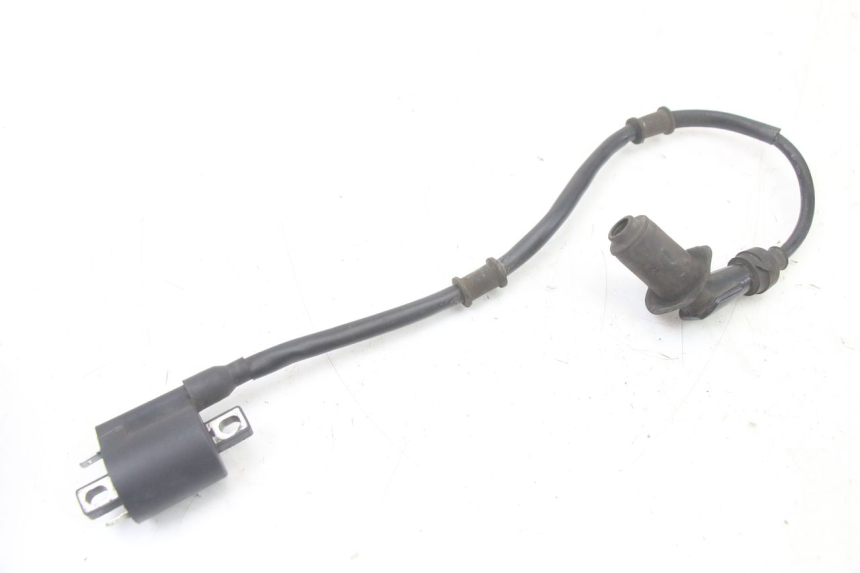 photo de COIL TNT MOTOR ROMA 10' 4T 50 (2019 - 2022) - Alternative perspective