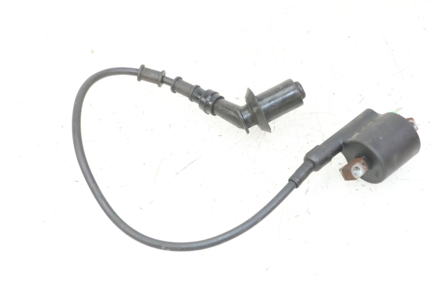 photo de IGNITION COIL PEUGEOT TWEET PRO CARGO 50 (2018 - 2022) - Alternative perspective