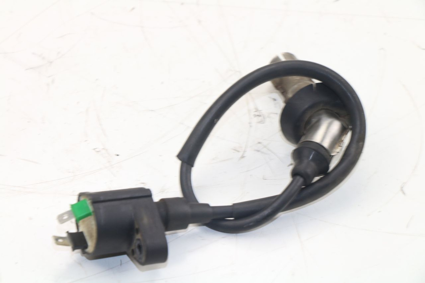 photo de IGNITION COIL ROADSIGN WALLABY 50 (2009 - 2014) - Component detail