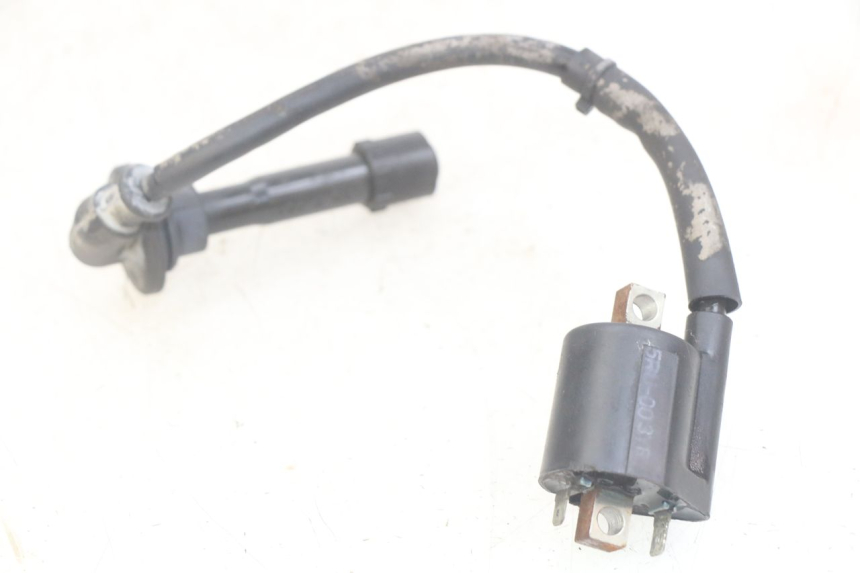 photo de COIL YAMAHA YP MAJESTY 400 (2004 - 2008) - Zoom on usage condition