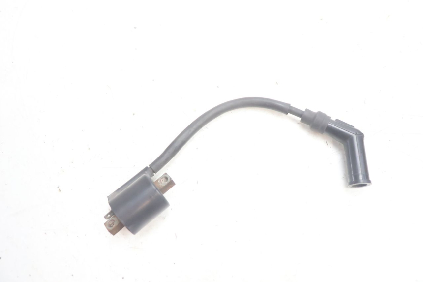 photo de COIL YAMAHA YP MAJESTY 125 (2002 - 2006) - Main view