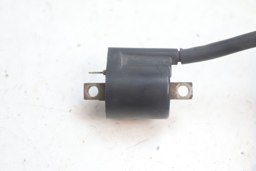 photo de COIL YAMAHA YP MAJESTY 125 (2002 - 2006) - Component detail