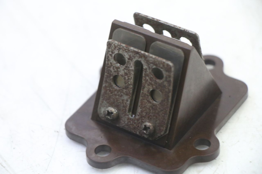 photo de REED VALVE MASH BIBOP 2T 50 (2013 - 2018) - Component detail