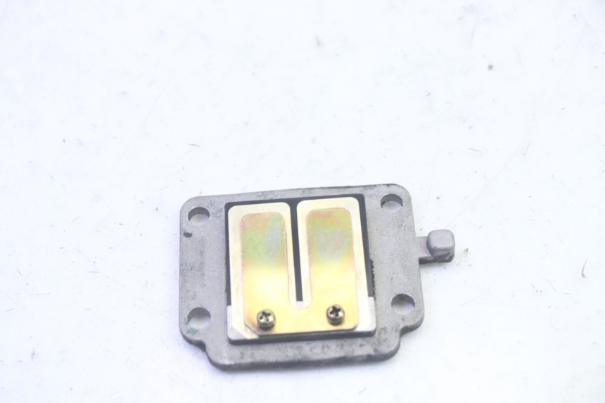 photo de REED VALVE ASSEMBLY MBK BOOSTER SPIRIT 50 (2004 - 2017) - Component detail