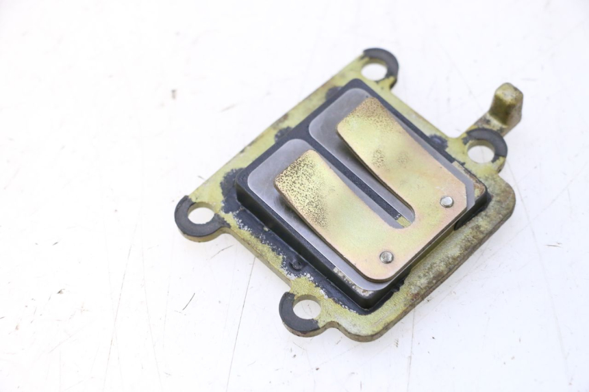 photo de REED VALVE ASSEMBLY MBK BOOSTER SPIRIT 50 (2004 - 2017) - Component detail